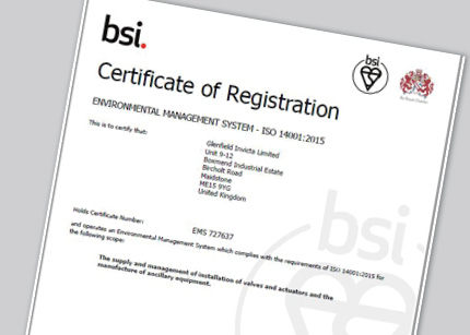 BSI Environmental Management Certificate